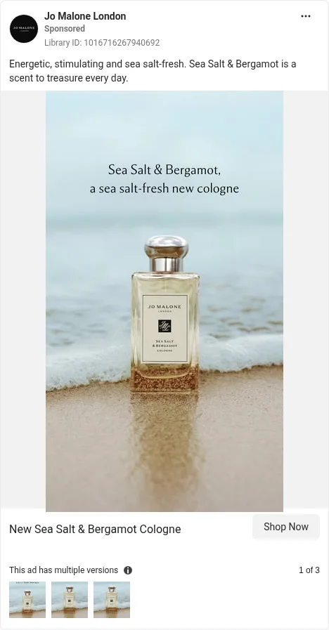 Based on Ad Library ID 1016716267940692 — Jo Malone London note-family / scent-descriptor carousel (Sea Salt & Bergamot). FLAG: not a literal top/heart/base pyramid overlay UI (left-column crop).